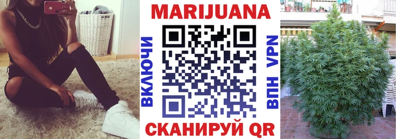 Бошки Шишки ГИДРОПОН  купить   Зима 